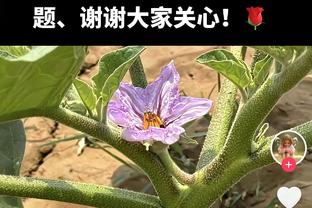 波杰姆斯基本赛季第2次单场至少20分10板 新秀中排名第2仅次文班