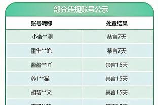 意媒：本赛季意甲半程场均上座人数达到30650人，创25年最高记录